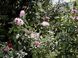 gardenmuseum (15).jpg